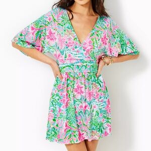 Lilly Pulitzer Parigi Floral Dress in Pink and Green